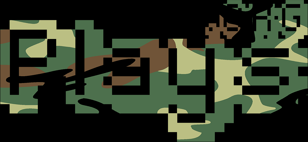 plays.acceptersite.com logo camo.