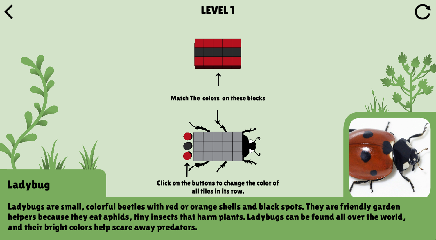 Colorful Beetles Game How To Play Screenshot.