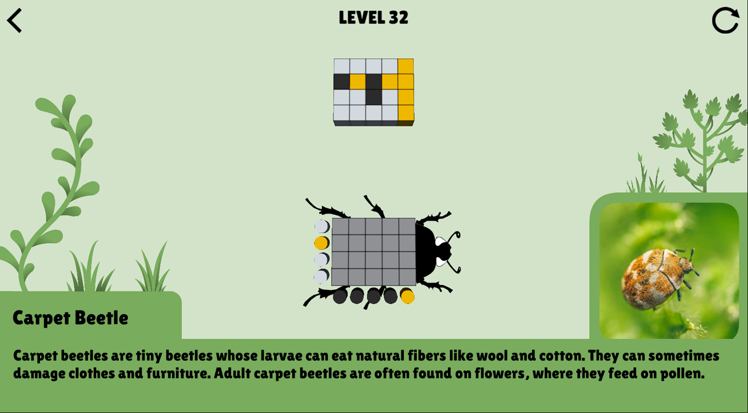 Colorful Beetles Game Level Challenge Screenshot.