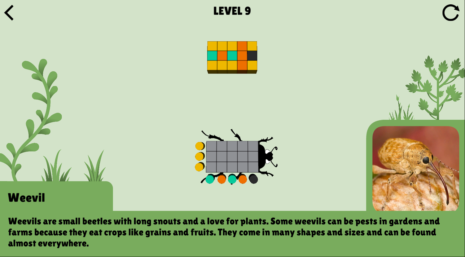 Colorful Beetles Game Level Play Screenshot.