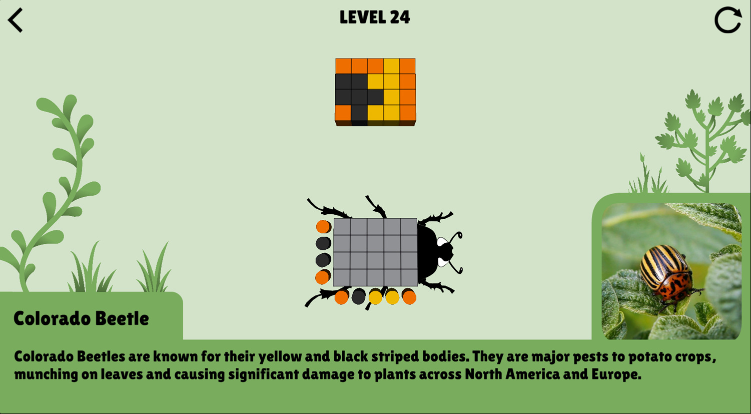 Colorful Beetles Game Level Progress Screenshot.