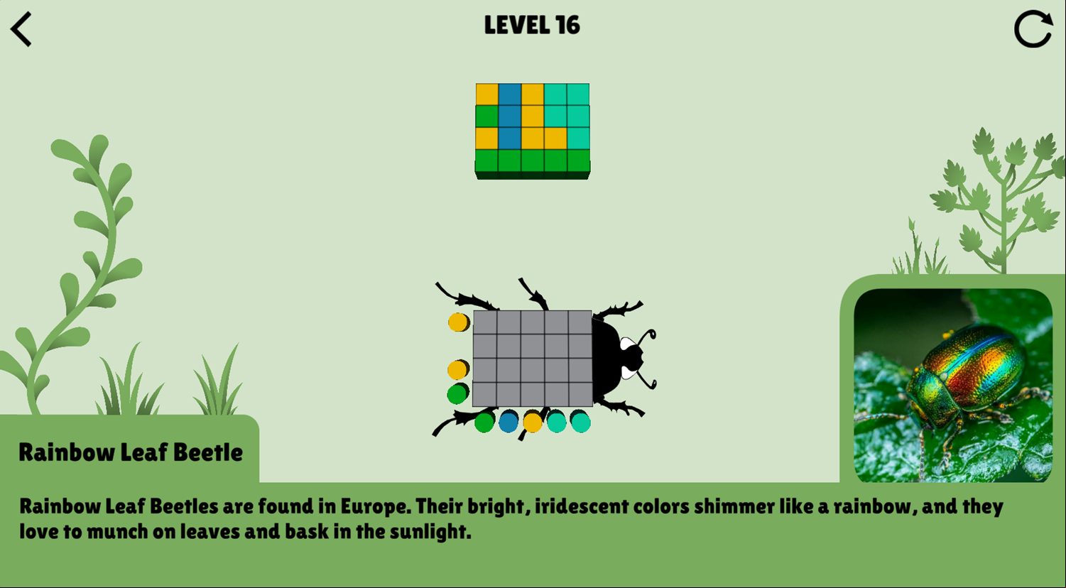 Colorful Beetles Game Next Level Screenshot.