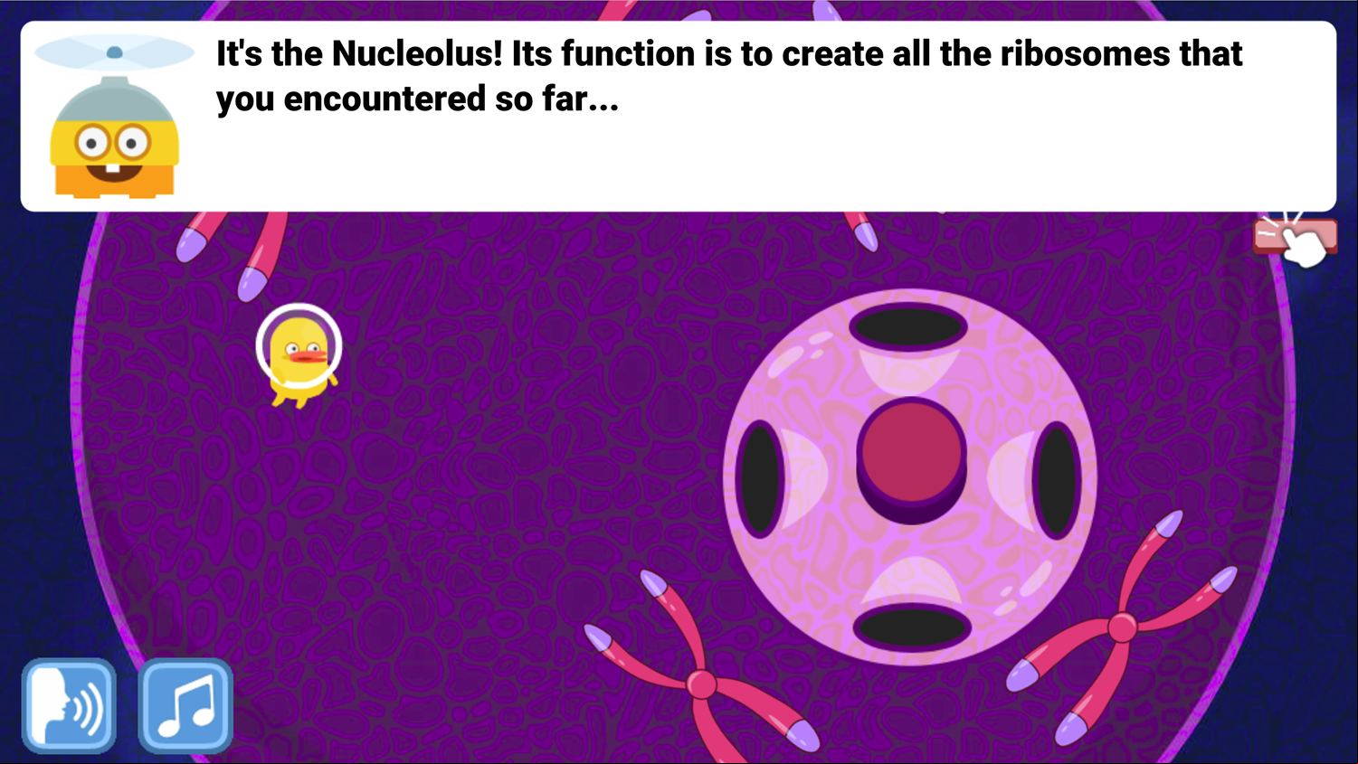 DocDuck Parts of the Cell Game Nucleolus Creates Ribosomes Screenshot.