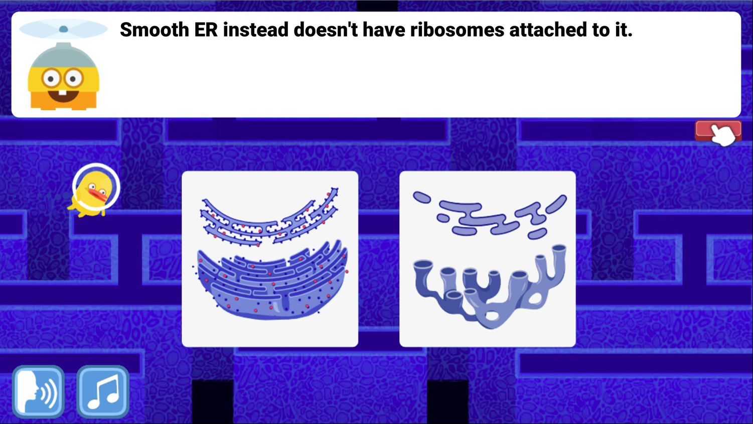 DocDuck Parts of the Cell Game Smooth E.R. Screenshot.