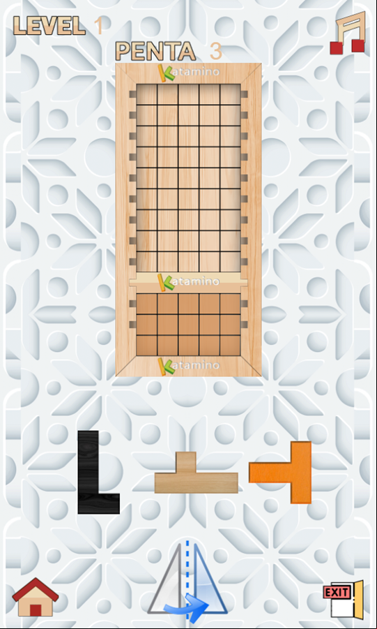 Katamino Game Level Start Screenshot.