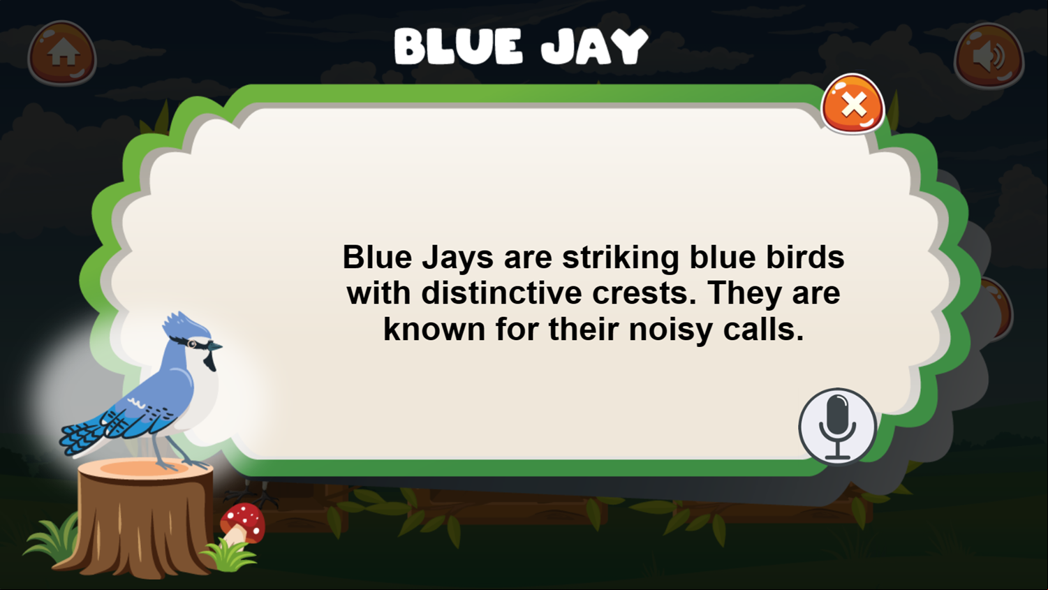 Meet The Birds Game Learn About Blue Jays Screenshot.