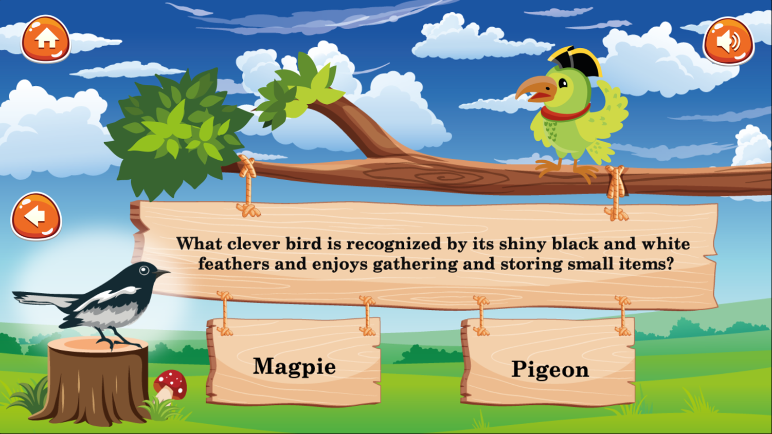 Meet The Birds Game Question Screenshot.
