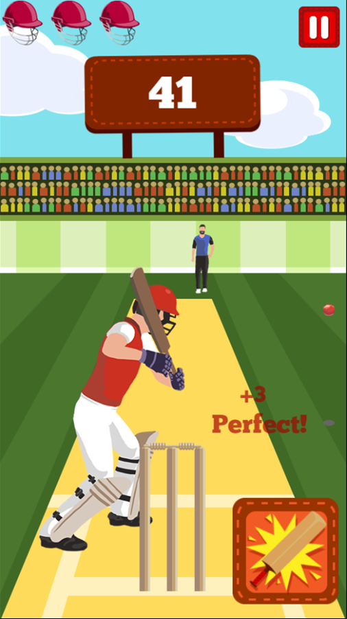 Pro Cricket Champion Game Perfect Swing Screenshot.