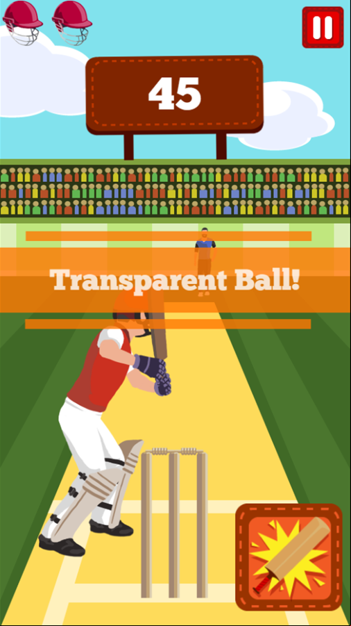 Pro Cricket Champion Game Transparent Ball Screen Screenshot.
